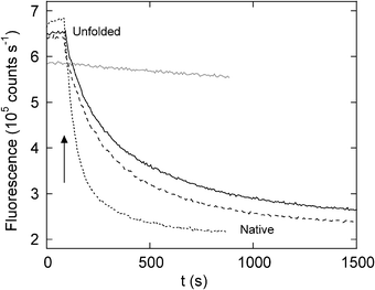 Rescue of DBD misfolding by metal chelators monitored by Trp fluorescence. DBD (0.75 μM) was refolded in the presence of 16 μM ZnCl2. After 80 s of stalled folding (indicated by the arrow), NTA (black line), EGTA (long dashes), EDTA (short dashes), or nothing (grey line) was added to the solution. Chelator concentrations are 0.5 mM. Figure reprinted with permission from the publisher.36