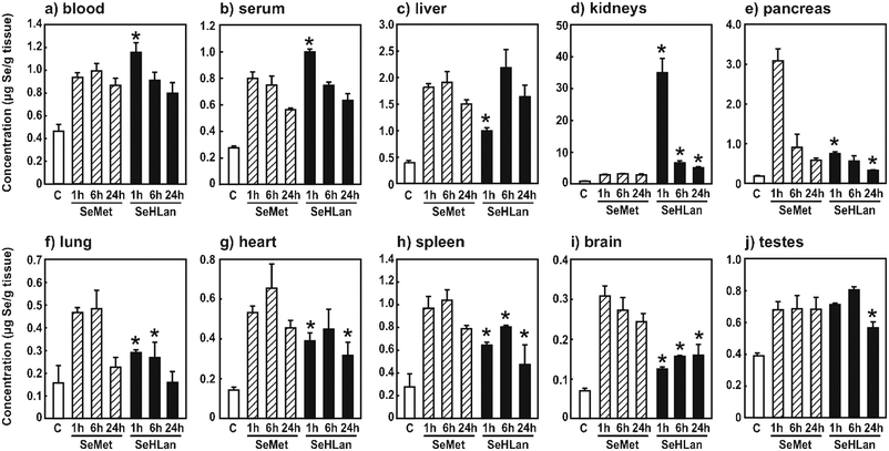 Se concentration in organs, blood, and serum. The rats were intravenously administered SeMet or SeHLan at a bolus dose of 1 mg Se/kg body weight, and blood (a), serum (b), liver (c), kidneys (d), pancreas (e), lungs (f), heart (g), spleen (h), brain (i), and testes (j) were collected 1, 6, and 24 h after administration. “C” means the sample collected from rats without any treatments. Values are expressed as means ± S.D. of three or four rats. Asterisk indicates significant difference between SeHLan-administered group and SeMet-administered group at the same time point at p < 0.05.