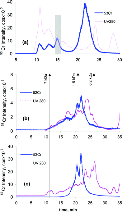SEC-UV-ICP MS (using Superdex-75 column) chromatogram and the heatcut fraction (shaded) of in vivo Cr-administered group mice liver cytosol (a). UV trace at 280 nm (pink) and 52Cr trace (blue). SEC-UV-ICP MS chromatograms (Superdex peptide column) of 40 kDa Protein fraction after tryptic digestion in denaturing conditions (b); and non-denaturing conditions (c). UV trace at 280 nm (pink) and 53Cr trace (blue).