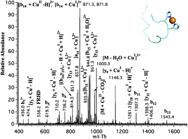 Tandem mass spectrum of copper-Aβ16 complexes obtained with a Cu electrode (t = 10 min), in which the selected parent ion is at m/z = 1009 Th ± 2.5 Th at 30% of collision energy and possible mode of Cu+ coordinating to Aβ16 schematically drawn by software Pymol.26