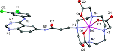 ORTEP diagram of InL1 with ellipsoids drawn at the 40% probability level.