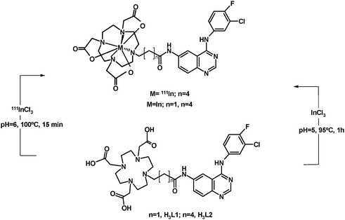 Synthesis of the indium(iii) complexes.