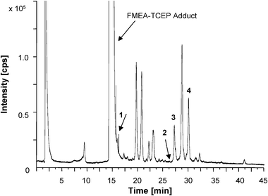 LC/ICP-MS chromatogram showing the 56Fe-trace of a real sample (exposition with Cd for 48 h) with 1: GSH-FMEA, 2: PC2-(FMEA)2, 3: CysPC2-(FMEA)3 and 4: CysPC3-(FMEA)4.