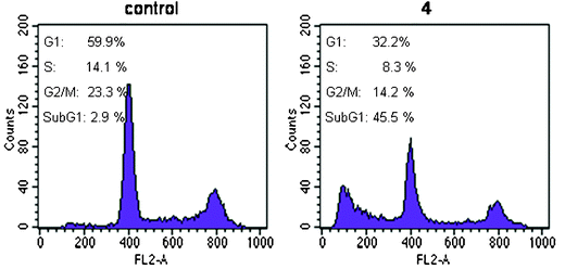 Cell cycle analysis of DLD-1 cells untreated (control) and treated with the IC90 concentration of 4 for 24 h.