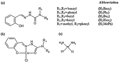 Structure of compounds used in the study. (a) Generic structure of salicylaldehyde-N,N-disubstituted semicarbazones, (b) generic structure of Cu(ii) complexes and (c) cisplatin.