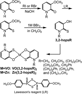 Synthesis of vanadyl and zinc complexes of 3,2-hopsR.