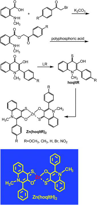 Synthesis of zinc complexes of hoqltR.