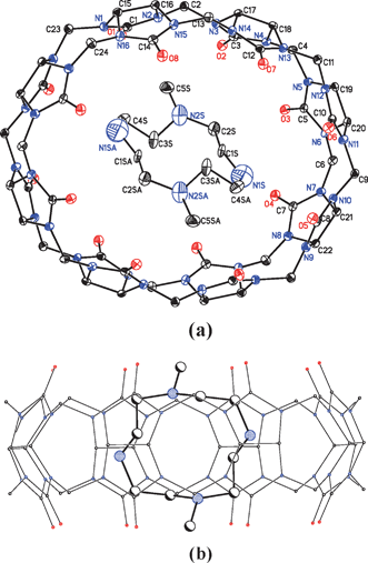 The X-ray crystal structure of the inclusion complex: (a) top view and (b) side view. Colour code: oxygen: red, nitrogen: blue and carbon: white. Hydrogen atoms, counterions (Cl−) and solvent (H2O) molecules are omitted for clarity.