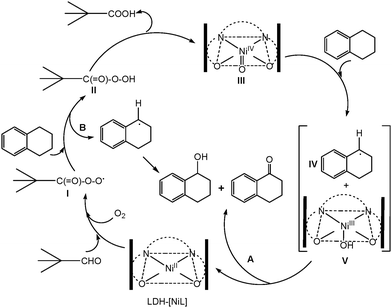 The proposed reaction mechanism for the oxidation of tetralin over 4.