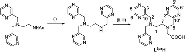 Synthesis of L3pzH. Reagents and conditions: (i) a. HCl (1 M), b. pyrazine-2-carbaldehyde, NaBH4, CH3OH, 27%, (ii) ClCH2COOEt, K2CO3, CH3CN, 49%, (iii) KOH, EtOH–H2O, 81%.