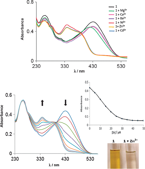 Top: UV-vis absorption spectral changes of 1 (conc. = 1 × 10−5 M in CH3CN) after the addition of 50 equivalents of Ba2+, Ca2+, Mg2+, Cd2+, Zn2+ and Ni2+ ions. Bottom: UV-vis absorption spectral changes of 1 upon addition of incremental (0.5 equivalent) amounts of Zn(ClO4)2. The inset shows a plot of absorbance against [Zn2+] monitored at 430 nm.