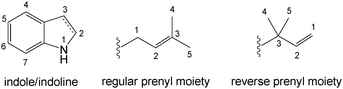 Numbering of prenyl and indole/indoline moieties.
