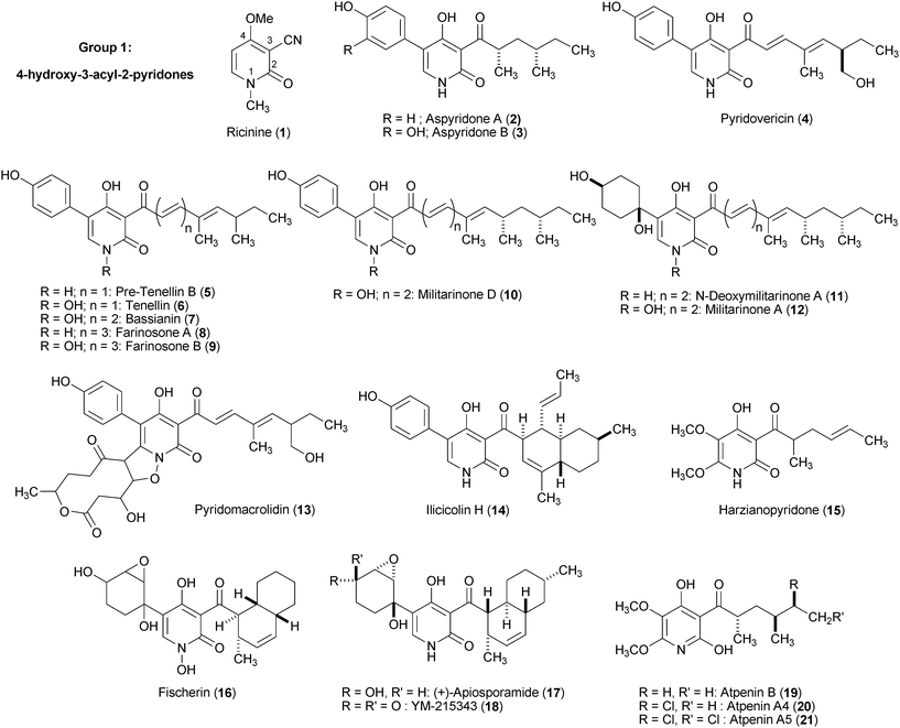 4-Hydroxy-2-pyridone alkaloids: Structures and synthetic