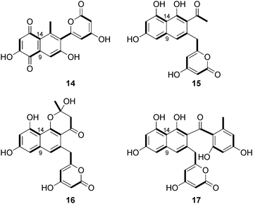 Cyclization of aromatic polyketides from bacteria and fungi - Natural  Product Reports (RSC Publishing) DOI:10.1039/B911518H