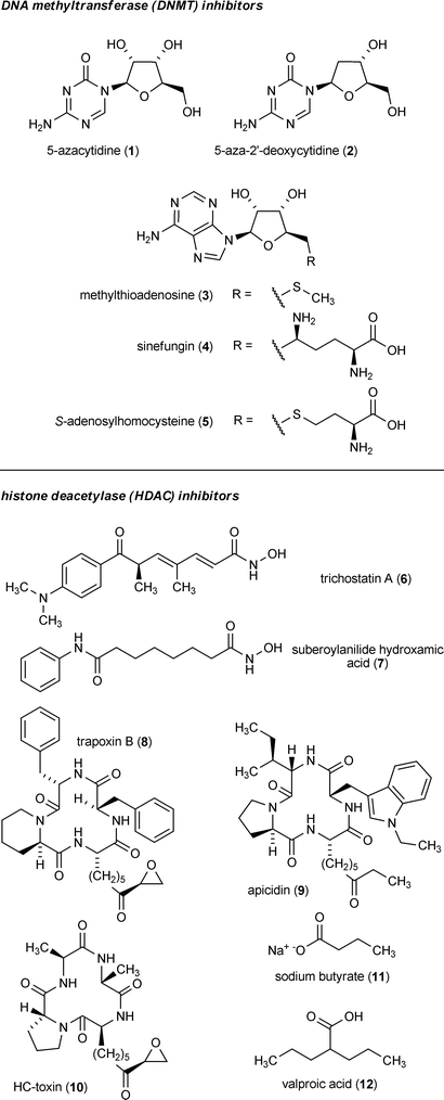 Example small-molecule inhibitors and their respective epigenetic targets.