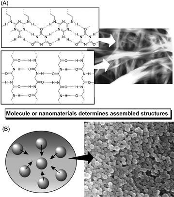 Schematic illustration of the formation of self-assembled materials based on molecular interaction (A) and interaction between nanomaterials (B).