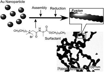 Gold cold fusion process to fabricate two-dimensional network nanostructures from gold nanoparticles.