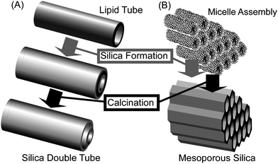 Example of structural transcription: (A) formation of silica nanotube; (B) preparation of mesoporous silica.