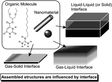 Formation of self-assembled structures at various interfaces.