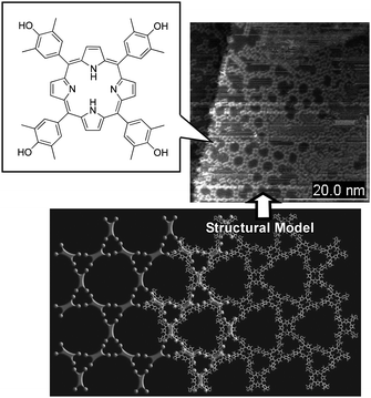 Hydrogen bonded array of porphyrin derivative molecules as an example of molecular assembly on a solid surface.