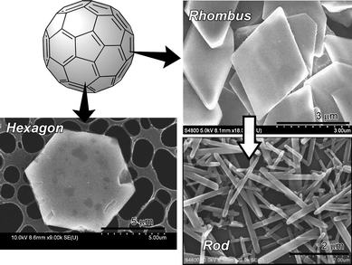 Spontaneous formation of various nanoscale objects through spontaneous assemblies of pure fullerenes.