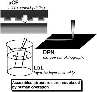 Examples of artificial fabrication methods for modulation of self-assembled structures.