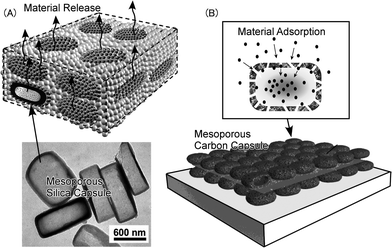 
            LbL films of mesoporous capsules: (A) LbL film with mesoporous silica capsule for material release; (B) LbL film with mesoporous carbon capsule for material adsorption.