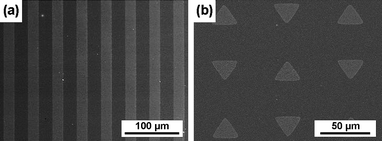 
            FE-SEM of (a) striped and (b) triangled micropatterns of nanostructured gold on PEGhydrogels.