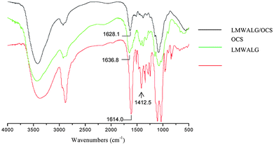 
            FT-IR difference curves of LMWALG/OCS capsules, OCS and LMWALG. The characteristic peaks of the carboxyl groups in LMWALG and the amido groups in OCS are pointed out.