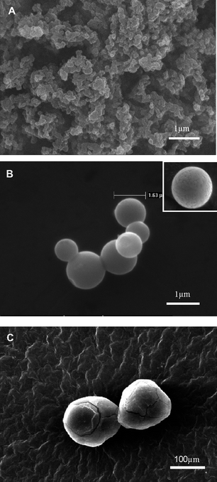 
            SEM images of capsules prepared under different conditions of the nine-run orthogonal experiment. A: the agglomerated nanocapsules of A1B3C3D3; B: The microcapsules of A2B3C1D2, the surface details of this kind of capsules can be found in the insert image; C: The microcapsules of A3B1C3D2.