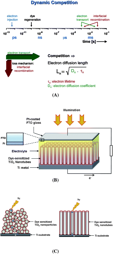 (A) The most relevant kinetic constants involved in the dynamics of the redox processes involving electron injection from the dye into TiO2, dye regeneration, electron transportation and back-transfer of the electrons to the redox medium. The electron diffusion length (Ln) in TiO2, one of the key parameters in DSSCs, depends on the diffusion constant (Dn) and the electron lifetime (τc) (reproduced with permission from ref. 8. Copyright American Chemical Society, 2005). (B) Schematic representation of typical solar cell construction using TiO2 nanotubes grown on a Ti substrate. (C) A comparison of the electron pathways through nanoparticulate and nanotubular structured TiO2 (3D random walk vs. 1D transport).