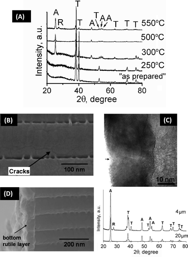 (A) XRD analysis of TiO2 nanotube layers at different annealing temperatures, revealing the amorphous ‘as-prepared’ material and anatase ‘A’ or rutile ‘R’ formation after the heat treatment. (B)–(C) SEM and TEM images of TiO2 nanotubes after annealing at 450 °C showing the crack lines and the grains present in the tube wall, respectively. (D) SEM image of TiO2 nanotubes after annealing at 450 °C showing the bottom rutile layer underneath the nanotubes. Inset: XRD of short tubes (4 μm) and long tubes (20 μm), indicating the rutile peak only for short tubes.