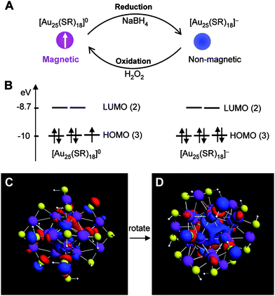 (A) Reversible conversion between the neutral and anionic Au25(SR)18 nanoclusters. (B) DFT calculated Kohn–Sham orbital level diagram for the neutral and anionic nanoclusters, respectively. (C–D) Views of the highest occupied Kohn–Sham orbital for [Au25(SH)18]0 at the LB94//Xα/TZP level of theory. The HOMO possesses two lobes and exhibits distinct P-like character. (D) is rotated relative to (C) to show one of the lobes (contributed by three Au atoms in the icosahedral shell). Purple: Au, yellow: S, white: H atoms. Reproduced from ref. 160 with permission. Copyright 2009 American Chemical Society.