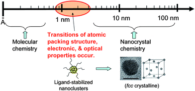 Metal nanoclusters, bridge organometallic complexes and nanocrystals. Scale bar = 5 nm.