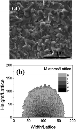(a) The SEM image of the surface of iron, after annealing at 600 °C in Ar for 10 h. Particle-like structures are formed on the surface. (b) The morphologies of the nanowire obtained at NO = 1 when Ta = 0.2, L = 6, and t = 600.