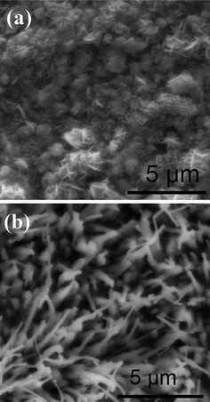 The SEM images of the surface of iron annealed at 450 °C (a) and 750 °C (b) in the mixed gas shown in ref. 6.