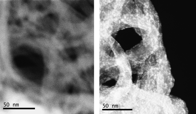 
            HAADF-STEM images of pNTs (left, scale bar: 50 nm) and CoPOM@NTs (right, scale bar: 50 nm).