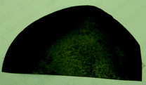 Photo of the thermally reduced graphene paper.