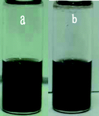 Photographs of the suspension of the as-prepared garphene in pure DMAc (0.15 mg mL−1) for 5 min (a) and two months (b).