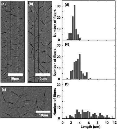 (a and b) SEM image of p6P nanofibers grown on sputtered (a) and electron-beam evaporated (b) gold films with titanium pinning lines (width 250 nm and height 50 nm), respectively, at a substrate temperature of 418 K; (c) SEM image of p6P nanofibers grown on a sputtered gold film without pinning lines at a substrate temperature of 418 K; (d–f) length distribution for the fibers grown between pinning lines (separation 2.5 µm) on the samples shown in (a and b) and for the substrate shown in (c), respectively.