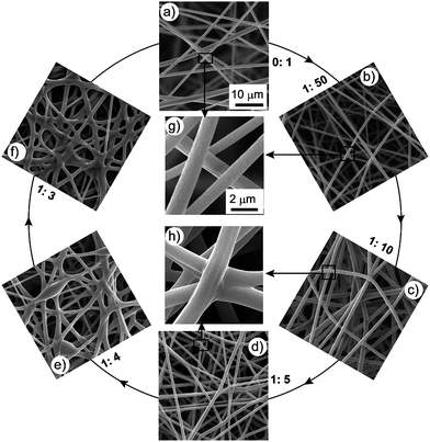 
          SEM images of PMMA ES mats with different epoxy content. a–f) The ratios of epoxy:PMMA are 0 : 1, 1 : 50, 1 : 10, 1 : 5, 1 : 4, 1 : 3, respectively. g, h) Typical enlarged SEM image of a) and b), and c) and d), respectively. Experimental parameters are: PMMA concentration 10 wt%, voltage 25 kV, work distance 15 cm, ES time 5 min. a–f) and g–h) share the same scale bars, respectively.