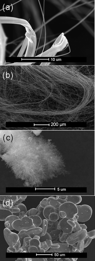 
          SEM micrographs of: (a) Nanoribbons (2) formed at 500 °C, (b) high-aspect-ratio nanowires (3) formed at 650 °C, (c) fine nanowires (5) formed at 900 °C and (d) platelets (6) formed at 1100 °C (recovered from region I of the ampoule).