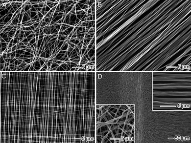 
          SEM images of different assemblies of electrospun nanofibers: (A) a nonwoven mat of randomly oriented poly(ε-caprolactone)nanofibers, (B) an uniaxially aligned array of poly(ε-caprolactone)nanofibers, (C) a perpendicularly stacked array of poly(ε-caprolactone)nanofibers, and (D) a mat containing both random (left side) and aligned (right side) poly(ε-caprolactone)nanofibers. Adapted with permission from ref. 32. Copyright American Chemical Society (2009).