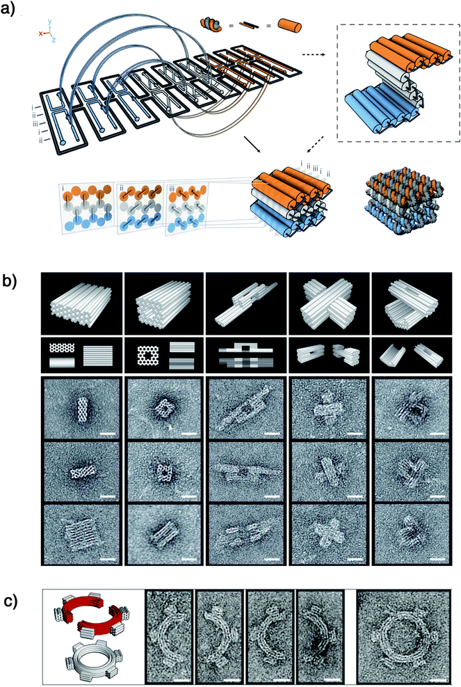 (a) Design of a DNA honeycomb-array. (b) Negative-stain TEM images of a monolith, square nut, railed bridge, stacked cross, and slotted cross, respectively from left to right. (c) Negative-stain TEM images of six-tooth gears made of bent 3-by-6-helix DNA-origami bundles. Scale bars are 20 nm. [Part (a) and (b) reprinted with permission from ref. 30. © 2009 Nature Publishing Group. Part (c) reprinted with permission from ref. 31. © 2009 American Association for the Advancement of Science].