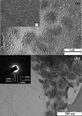 (a) SEM and (b) TEM micrographs from MagC18/PLA nanospheres. The inset in (a) corresponds to the same sample at higher magnification. The inset in (b) represents the corresponding selected area electron diffraction pattern and the numbers in parentheses are the Miller indices corresponding to the lattice planes of the spinel iron oxide structure.