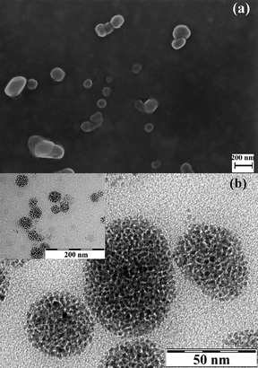 (a) SEM and (b) TEM micrographs from MagC18/PLA-PEG micelles. The inset corresponds to the same sample at lower magnification.