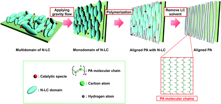 Schematic representation of the synthesis of an aligned PA film using the gravity flow of N-LC solvent.