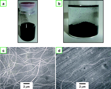 (a) Photograph of PA fibrils dispersed in ethanol after the ultrasonication, and (b) photograph of PA fibrils precipitated at the bottom of the vial after several hours. (c) SEM image of dispersed nanofibrils, (d) SEM image of a single nanofibril with ca. 20 μm in length.