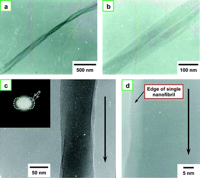 (a) TEM image of nanofibrils and (b) a magnified image of (a). (c) TEM image of single nanofibril and its selected area electron diffraction (SAED) pattern (inset). The arrow in the figure indicates the direction of the fibril axis, and the two dotted circles in the SAED pattern indicate the strong equatorial reflection corresponding to the (110) and (200) faces of the cis-PA crystal structure, and (d) the magnified image of (c).