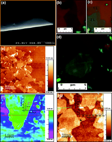 Microstructural analyses of graphene sheet. (a) SEM image of exfoliated graphene sheet (with a paper-like morphology). (b)–(d) Optical microscopy images of single or FLG sheet samples on 300 nm SiO2/Si substrates which clearly show the single-layer, two-layer, and more than four-layer graphene sheets, respectively. These layers have a slightly different colour in the optical microscope. It appears that the darker colour corresponds to thicker layers. (e)–(g) AFM images of graphene sheets in tapping mode. (f) and (g) show 2–3 layer and four-layer graphene sheets, respectively. The insets show the corresponding height profiles. The overlapping of misoriented graphene sheets is clearly indicated by a black dotted arrow in (g).